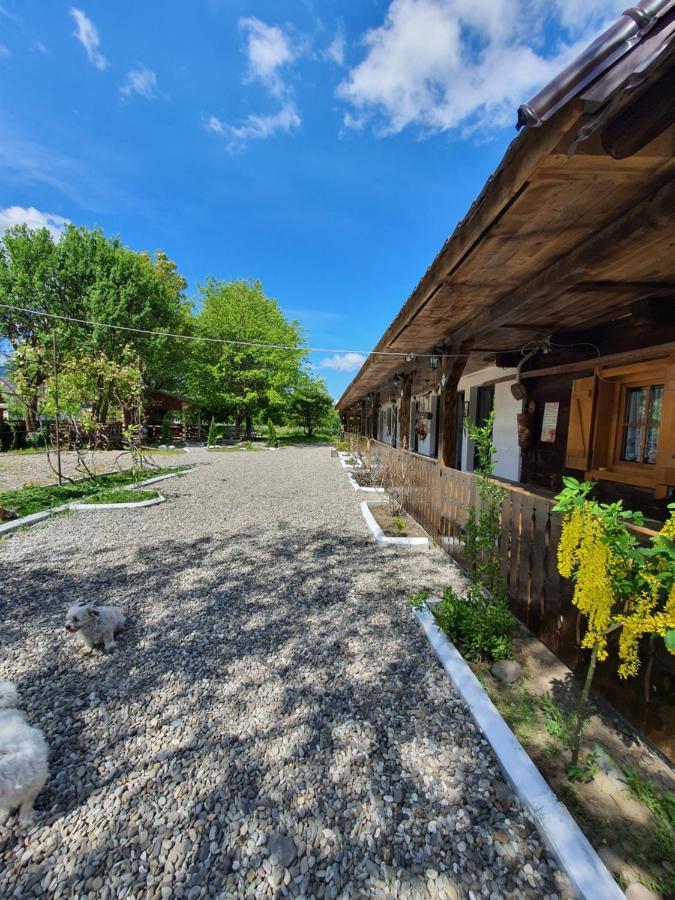 La Romaneasa Săpînţa Exterior foto