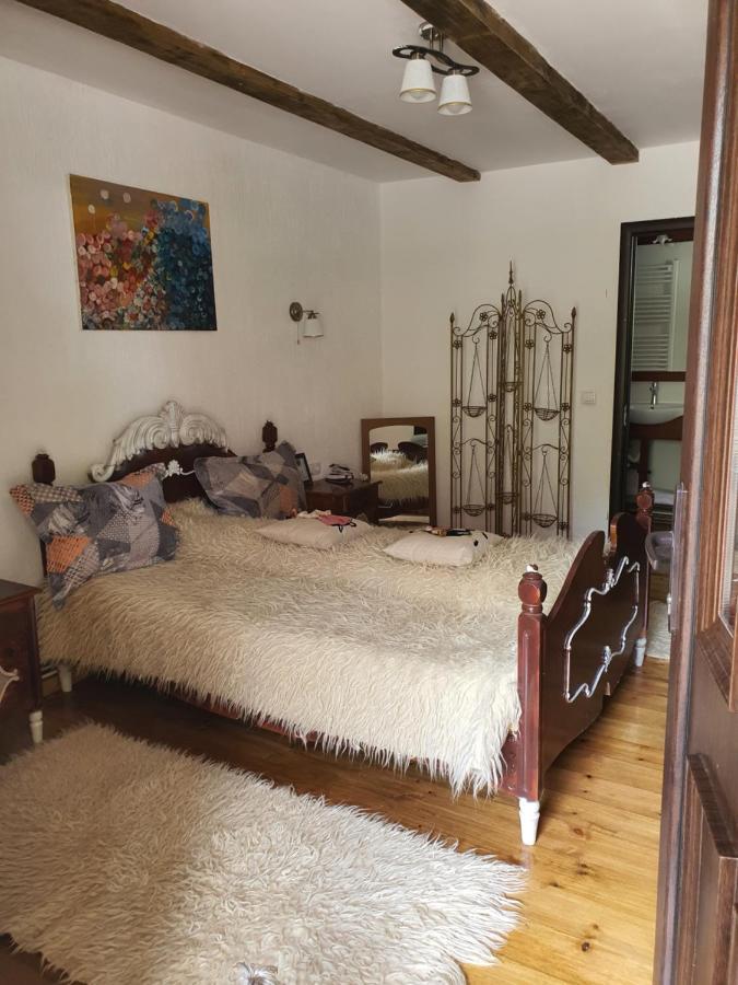 La Romaneasa Săpînţa Exterior foto