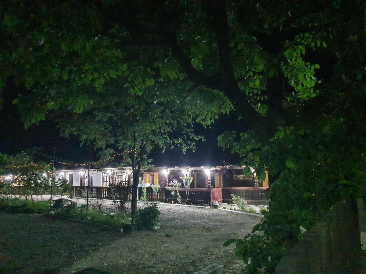 La Romaneasa Săpînţa Exterior foto
