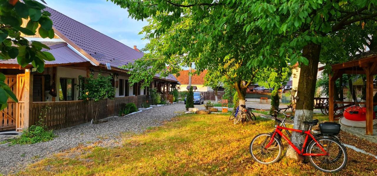 La Romaneasa Săpînţa Exterior foto