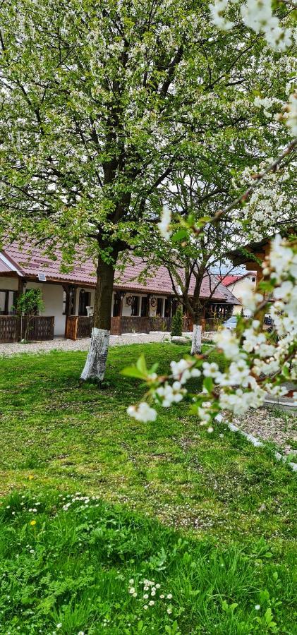 La Romaneasa Săpînţa Exterior foto